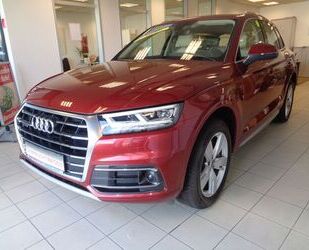 Audi Audi Q5 quattro / LED / NAVI / LEDER / Gebrauchtwagen