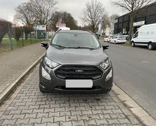 Ford Ford EcoSport 1,0 EcoBoost 92kW ST-Line Automatik. Gebrauchtwagen