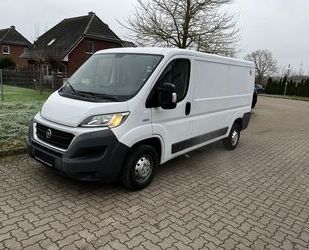 Fiat Fiat Ducato Kasten L2H1 1.Hand Regale 78Tkm Gebrauchtwagen