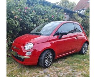 Fiat Fiat 500 0.9 8V TwinAir Cult Leder Gebrauchtwagen