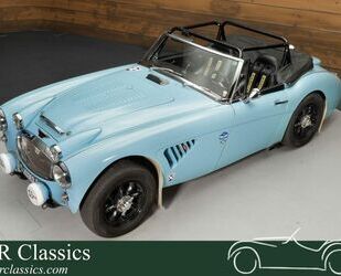 Austin Rover Austin Healey Cabrio Gebrauchtwagen