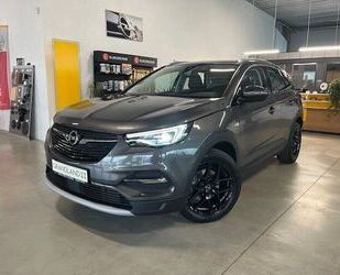 Opel Opel Grandland X Automatik - Kamera/LED/AGR/Borbet Gebrauchtwagen