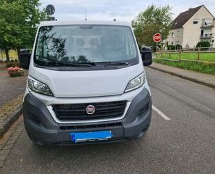 Fiat Fiat Ducato Gebrauchtwagen