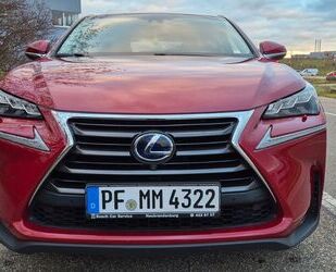 Lexus Lexus NX 300h E-FOUR Luxury Line*8-fach*HUD*PANO*L Gebrauchtwagen