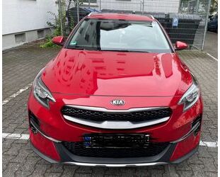 Kia Kia XCeed 1.6 CRDi 48V DCT Vision Vision Gebrauchtwagen