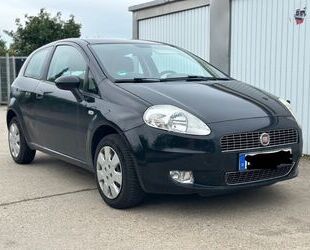 Fiat Fiat Punto 1.4 8V Active Active Gebrauchtwagen