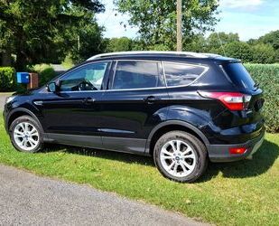 Ford Ford Kuga 1,5 EcoBoost Titanium Titanium Gebrauchtwagen