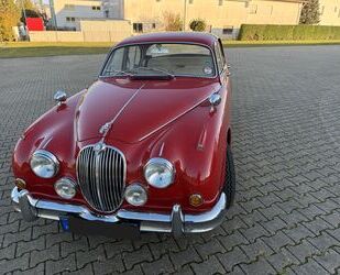 Jaguar Jaguar MK II 3.8 Rechtslenker Gebrauchtwagen