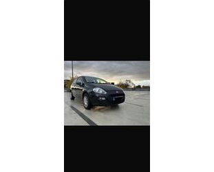 Fiat Fiat Punto 1.2 8V YOUNG YOUNG Gebrauchtwagen