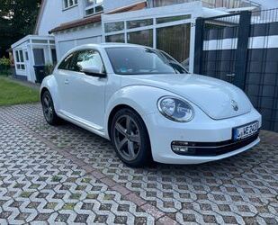 VW Volkswagen Beetle 1.2 TSI BMT Design Design Gebrauchtwagen