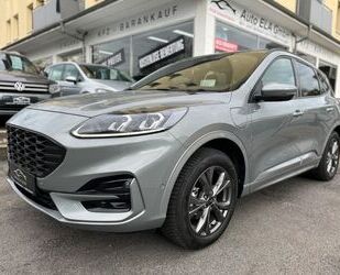 Ford Ford Kuga Plug-In Hybrid ST-Line AHK|Panorama|Kame Gebrauchtwagen