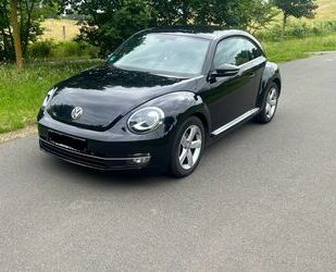 VW Volkswagen VW Beetle Käfer 2.0 TDI Xenon LED Stand Gebrauchtwagen