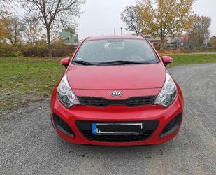 Kia Kia Rio 1.2 Business Line Business Line Gebrauchtwagen