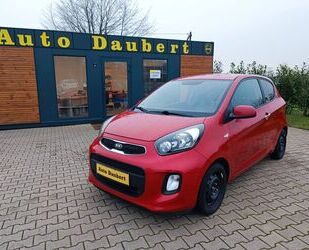 Kia Kia Picanto 1,2+Klimaaut.+4WR+EFH+EU6+Garantie Gebrauchtwagen