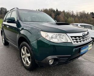 Subaru Subaru Forester 2.0 Gebrauchtwagen