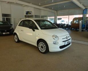 Fiat Fiat 500 1.0 GSE N3 Hybrid CULT, AC Gebrauchtwagen