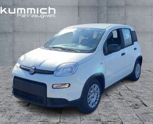 Fiat Fiat Panda Hybrid 1.0 GSE 51kw (70PS) Hybrid 1.0 G Gebrauchtwagen