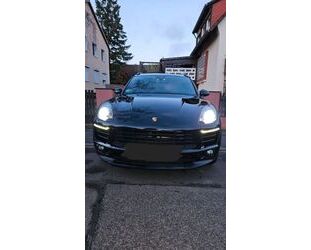 Porsche Porsche Macan - - Gebrauchtwagen