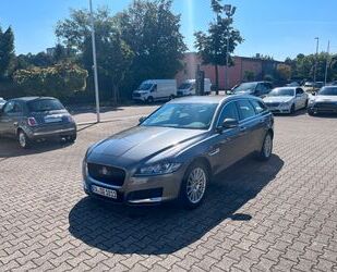 Jaguar Jaguar XF Sportbrake 8 Reifen, AHK, sehr guter Zus Gebrauchtwagen