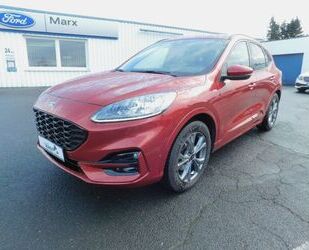 Ford Ford Kuga ST-Line X Gebrauchtwagen