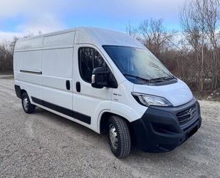 Fiat Fiat Ducato Maxi L4H2 - Ideal für Camper Umbau Gebrauchtwagen