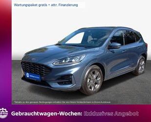 Ford Ford Kuga 1.5 EcoBoost ST-LINE X AHZV Sitzhzg v+h Gebrauchtwagen