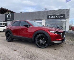 Mazda Mazda CX-30 e-SKYACTIV-X 186PS 6GS HOMURA Gebrauchtwagen