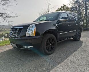 Cadillac Cadillac Escalade 6.2 V8 Platinum Autom. Platinum Gebrauchtwagen