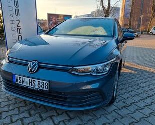 VW Volkswagen Golf VIII Lim. Life 1,5 TSI 96 KW Navi, Gebrauchtwagen