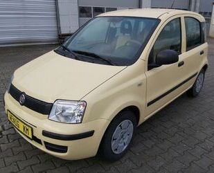 Fiat Fiat Panda 1.2 8V MyLive Gebrauchtwagen