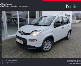 Fiat Fiat Panda 1,0 Hybrid Klimaanlage ESP DAB Bluetoot Gebrauchtwagen