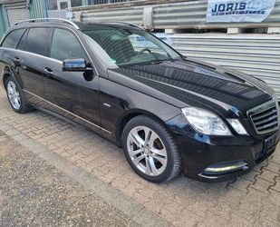 Mercedes-Benz Mercedes-Benz E 220 CDI T BlueEFFICIENCY AVANTGARD Gebrauchtwagen