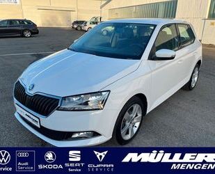 Skoda Skoda Fabia 1,0 TSI Cool Plus Alu|PDC|NSW|Sitzheiz Gebrauchtwagen