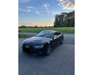 Audi Audi A5 3.0 TDI (DPF) Quattro Gebrauchtwagen