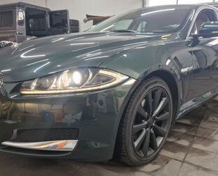 Jaguar Jaguar XF 3.0 V6Diesel Navi Xenon Leder Glasdach K Gebrauchtwagen