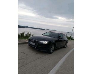 Audi Audi A4 TDI 2019 Gebrauchtwagen