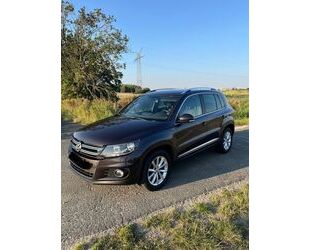 VW Volkswagen Tiguan 2.0 TDI Lounge, TÜV NEU, AHK, NA Gebrauchtwagen