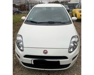 Fiat Fiat Punto 1.2 8V - Gebrauchtwagen