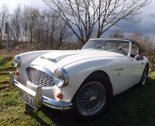 Austin Healey Austin Healey 3000 MK 1 - BN 7- Genau das richtige Gebrauchtwagen