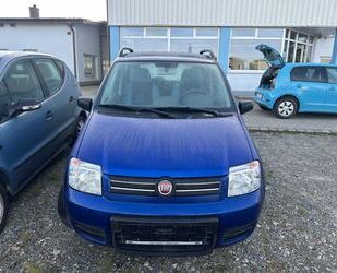 Fiat Fiat Panda 1.2 8V Climbing 4X4 Gebrauchtwagen