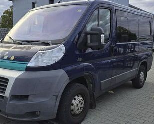 Fiat Fiat Ducato Kombi 5 Sitze *STANDHEIZUNG*LUFTFEDERU Gebrauchtwagen