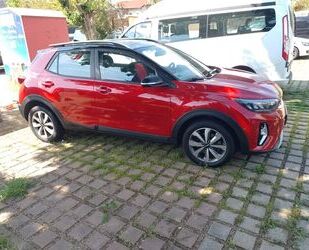 Kia Kia Stonic 1.0 T-GDI 100 Vision mit Marderschutz Gebrauchtwagen