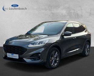 Ford Ford Kuga ST-Line Gebrauchtwagen