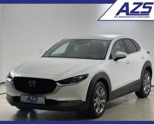 Mazda Mazda CX-30 Cosmo Navi Leder Kamera AHK Head-Up Gebrauchtwagen