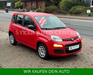 Fiat Fiat Panda Easy *1.HD|37Tkm.* Gebrauchtwagen