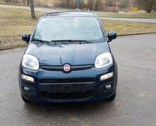 Fiat Fiat Panda 1.2 Gebrauchtwagen