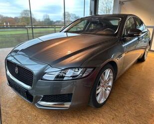 Jaguar Jaguar XF 20d Portfolio *HeadUp*Surround-Kamera* Gebrauchtwagen