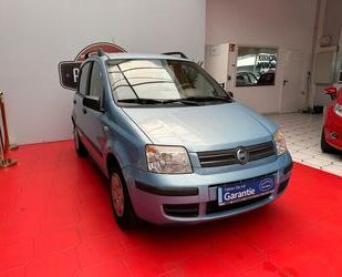 Fiat Fiat Panda 1.2 8V Dynamic Servo Klima Tüv Gebrauchtwagen