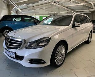 Mercedes-Benz Mercedes-Benz E 300 BlueTec Hybrid*PANO*FACELIFT Gebrauchtwagen