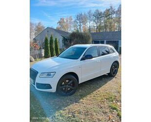 Audi Audi Q5 3.0 TDI S-Line Gebrauchtwagen